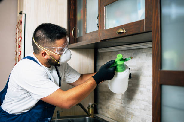 Best Affordable Pest Control Services  in Park Rapids, MN
