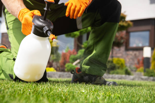 Pest Control Cost in Park Rapids, MN