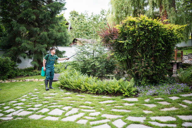 Best Affordable Pest Control Services  in Park Rapids, MN