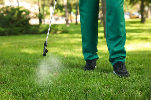 Flea Control Services in Park Rapids, MN